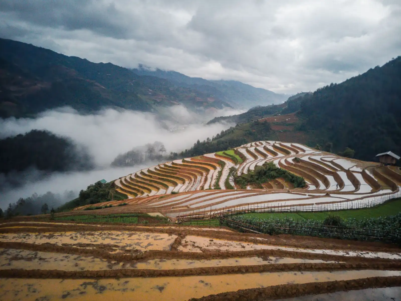 重庆茂淼广告设计解析2025年平面设计色彩管理新趋势